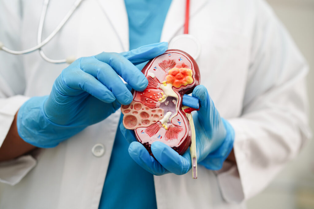 Urologia