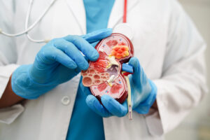 Urologia